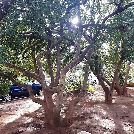 Boras Apartment Selce