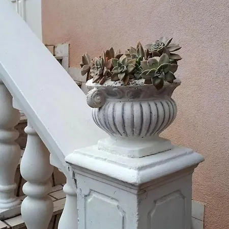 Апартаменты Boras Селце