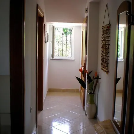 Boras * セルツェ